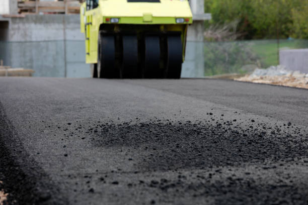 Best Driveway Paving Contractor  in Dulce, NM