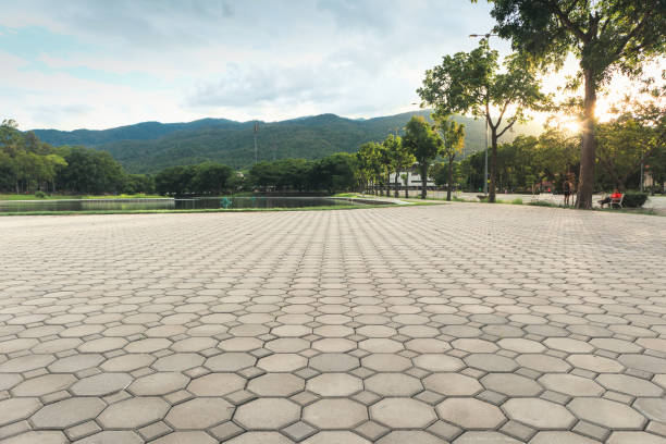Best Driveway Repair Near Me  in Dulce, NM
