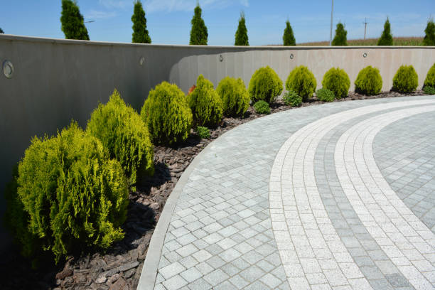 Best Cobblestone Driveway Pavers  in Dulce, NM